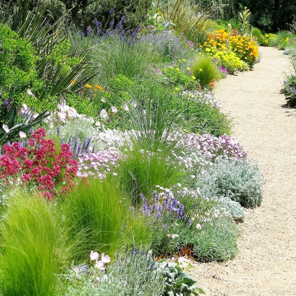 Meet your Posher, Tonie